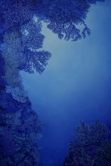 Nikolina Kovalenko's painting "Twilight Canyon."