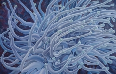 Nikolina Kovalenko's painting "Anemone."