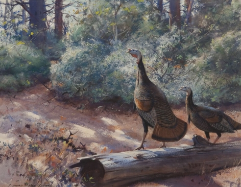 Sold painting by Aiden Lassell Ripley entitled "Gobblers".